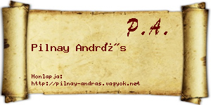Pilnay András névjegykártya