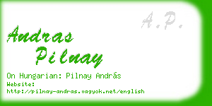 andras pilnay business card